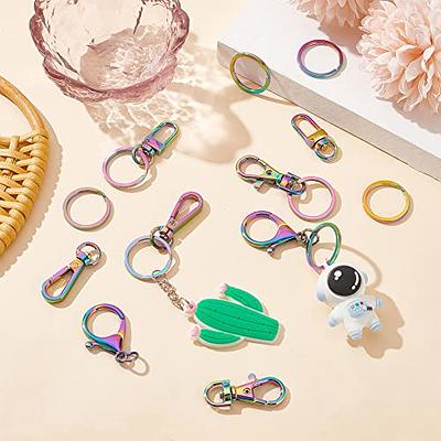150 PCS Lanyard Clips and Hooks, Multicolor Lobster Clasp Keychain Plastic  Lanyard Clips with Jump Rings, Lanyard Hook for Keychain Clasp, Plastic