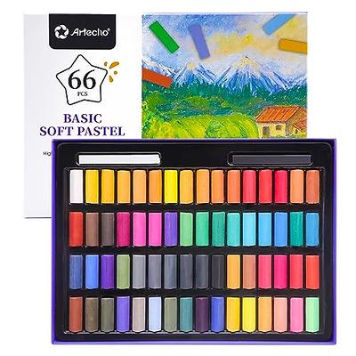 Wanshui 12 Pcs Monochrome Artists Grade Soft Oil Pastels Vibrant and Creamy  Colored Chalk Pastels Art Supplies Set for Professionals Painting Drawing  White Gray - Yahoo Shopping