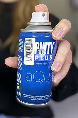 Pinty Plus CHALK Paint Spray Ideal for Furniture & Craft Projects 