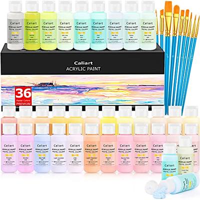 Caliart Metallic Acrylic Paint Set With 12 Brushes 24 Colors 