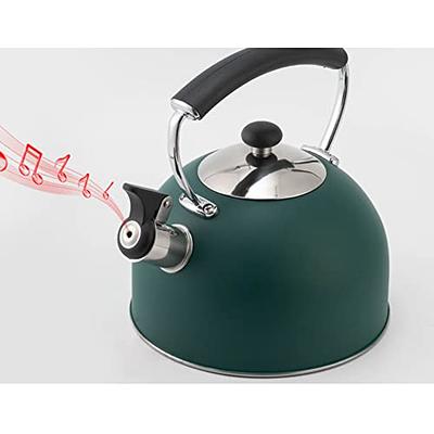 Elitra Stove Top Whistling Fancy Kettle - Stainless Steel Tea Pot