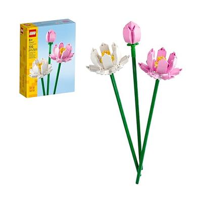  Bundle - 2 Items: Sillbird STEM 12-in-1 Education