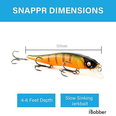 Topwater Bass Lures,5pcs Fishing Lure with Floating Rotating Tail Treble  Fishing Hooks Lifelike 3D Eyes Artificial Swimbaits Slow Sinking Hard Bait  for Trout Walleye Pike Musky 4.33inch-5pcs - Yahoo Shopping