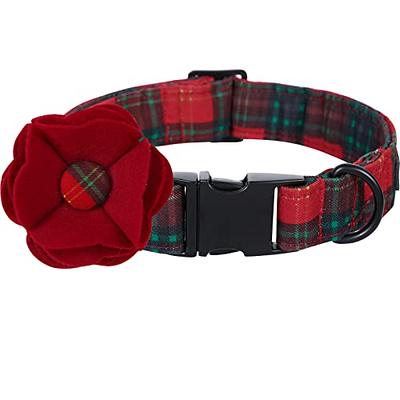 Lionet Paws Boy Dog Collar with Bowtie, Comfortable Adjustable