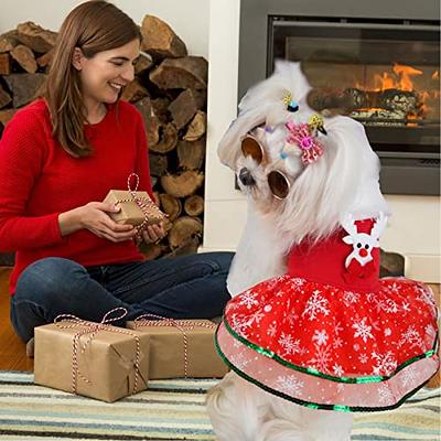 Dog Costume Christmas Costumes, Dog Christmas Gift Costume