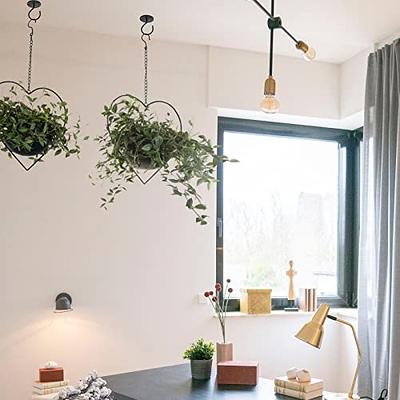 Ceiling Plant Hanger 