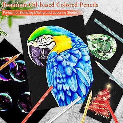 Premium Colored Pencil for Adult Coloring Book Artist Colored Pencil Set  Birthday Holiday Gift Oil based Colored Pencils 