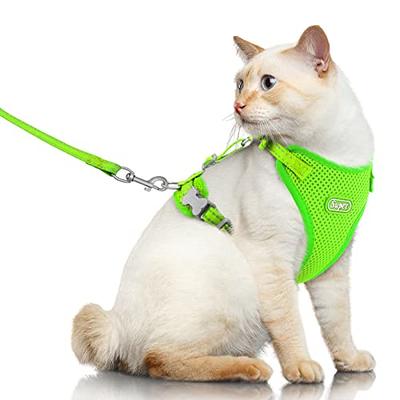 2Pcs/Set Dog Harness and Leash Set Harness and Leash Set Adjustable  Escape-Proof Harness and Leash Set for Small Medium Dodgs and Cats 