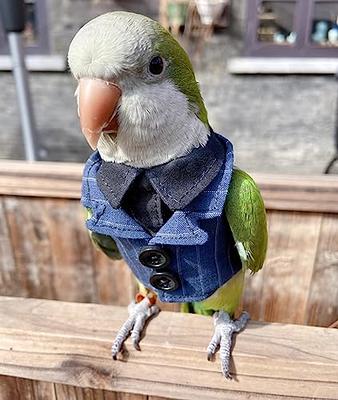 KUNBIUH Bird Costume Birds Flight Suit,Tuxedo Business Suit for Parrots  African Greys Parakeet Cockatiel Sun Conure Christmas Party Birthday  Cosplay Photo Prop Small Animals Apparel (2M, Blue) - Yahoo Shopping