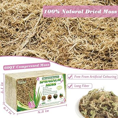 Halatool 3.3LBS Natural Sphagnum Moss for Plants 60 QT Premium Peat Moss  Dried Long Fiber Orchid Moss for Orchid Repotting Carnivorous Succulents  Garden Flowers Crafts Terrarium and Reptiles - Yahoo Shopping