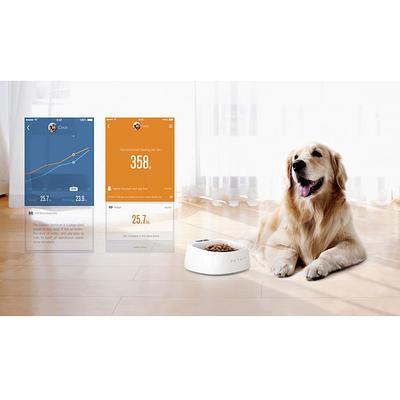 Petkit Fresh Metal Large Machine Washable Smart Digital Feeding Pet Bowl - Blue