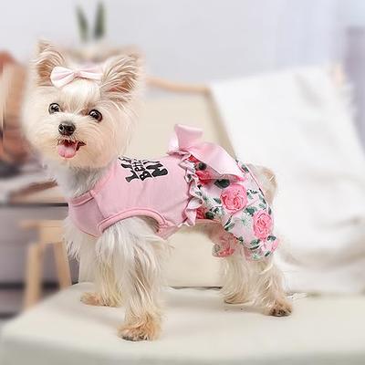 Dog Clothes for Small Dogs Girl Boy Puppy Pajamas Summer Pet Onesie  Jumpsuit Cute Top Dog Shirt Cat Pjs Outfit Apparel Doggy (Medium, Pink) -  Yahoo Shopping