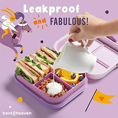 Bentoheaven Premium Bento Lunch Box for Kids, 9 Designs, Leak