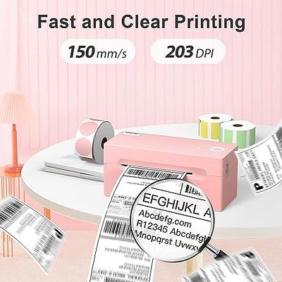 MUNBYN Wireless Label Printer 300DPI, RW401AP Wi-Fi Thermal Printer,  AirPrint Connectivity No Driver Compatible with iPhone, iPad, Mac, Work  with 4x6