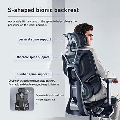 Hbada Ergonomic Office Chair Elastic Adaptive Adjustment Back