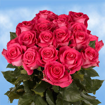 Globalrose 100 Stems - Fresh Cut Red Roses - Delivery for Valentines Day  prime-100-red-roses - The Home Depot