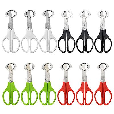 1pc Stainless Steel Kitchen Scissors Household - Temu