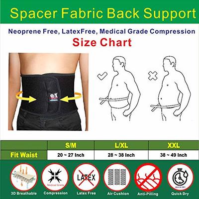 Fitomo Back Brace for Lower Back Pain Men Women, Back Support Belt for  Intant Pain Relief from Sciatica Hernated Disc Scoliosis Sprain, Adjustable