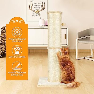  MECOOL Cat Scratching Post Premium Basics Kitten