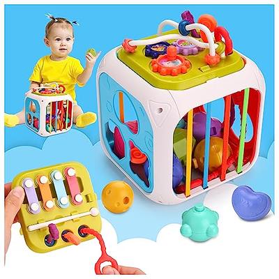 hahaland Baby Toys 12-18 Months Development - Toddler Toys for 1 2