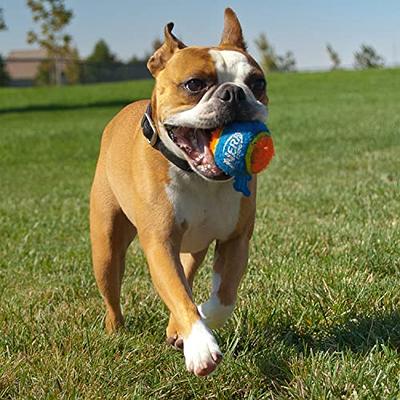 Pet Nugget Ball Tosser, Tennis Ball Launcher Retrieving Dog Toy in