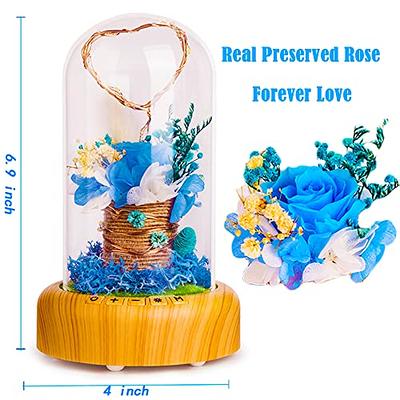 SWEETIME Blue Rose Lamp Real Preserved Rose in Glass Dome, Forever Flower  Night Light with Bluetooth Speaker, Eternal Flowers Rose Musical Box Gift  for Her on Mother's Day, Birthday, Valentine Day. 