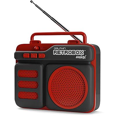 Mini Radio Fm Digital Portable Speakers With Fm Receiver Support Sd/tf Card