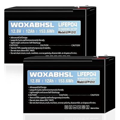 12V 30AH LiFePO4 Lithium Battery, Built-in 30A BMS, 5000+ Cycles  Rechargeable Battery, Perfect for Solar Power, Small UPS, Power Wheel