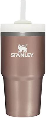 Stanley Quencher 30-fl oz Stainless Steel Insulated Tumbler in the