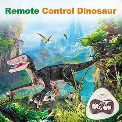  SpringFlower Dinosaur Toys for 3 Years Old & Up - Dinosaur Arts  and Crafts Painting kit including12 Realistic Looking Dinosaurs Figures,  DIY Creative Toy Gift for Kids, Boys, and Girls 
