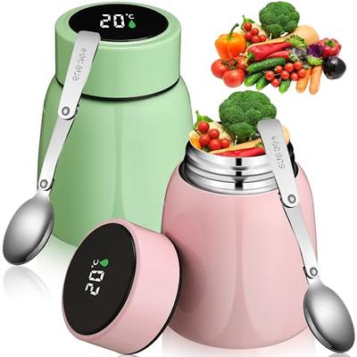 FEWOO Food Thermos - 20oz Vacuum Insulated Soup Container, Stainless Steel  Lunch box for Kids Adult, Leak Proof Food Jar with Folding Spoon for Hot or