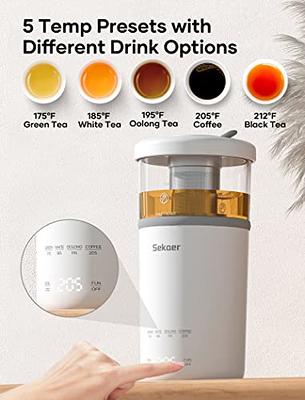 Sekaer Small Electric Tea Kettle Stainless Steel 0.8L Portable Travel Hot  Water Boiler, Mini Electric Coffee Kettle with Auto Shut-Off & Boil Dry