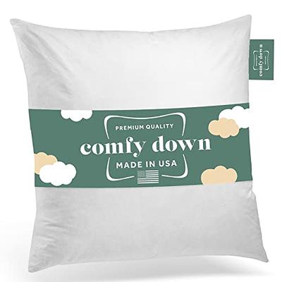 Pure Down Duck Feather 18 in. x 18 in. Pillow Insert (Set of 2) PD