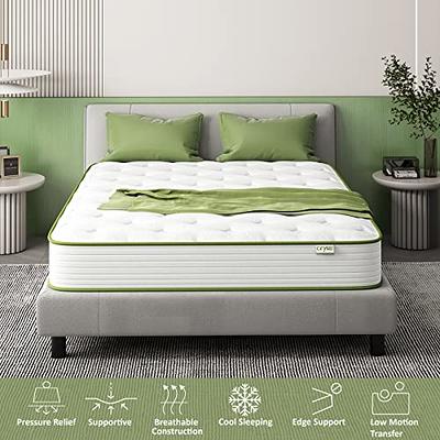 Sofree Bedding Full Mattress, 10 inch Memory Foam Mattress in A Box, Individual Pocket Spring Mattress with Motion Isolation and Pressure Relief