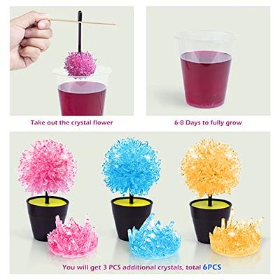 Crystal Growing Kit, Arts and Crafts Science Kits for Kids 4-6-8