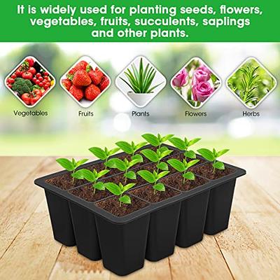 Silicone Seed Starting Tray,Reusable Seed Starting Trays for Seed  Germination and Plant Propagation,Vegetable Seeds,Herb Seeds,Flower Plant  Starter Kit BPA Free 2 Pack (24 Cells Total)-Black - Yahoo Shopping