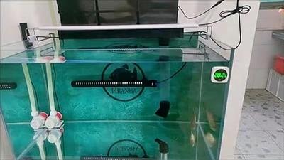 LED Aquarium Thermometer Fish Tank Touch Screen Thermometer