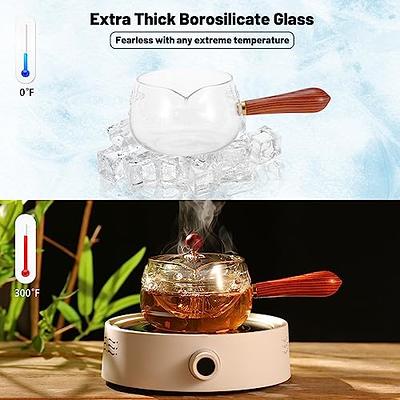 LURRIER Glass Teapot with Infuser, Portable Teapot Set with 360 Rotation Tea  maker and Infuser, Clear Tea Kettle with Wooden Handle, Blooming and Loose  Leaf Tea Maker for Camping - Yahoo Shopping