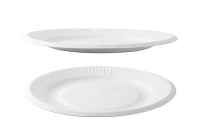 Perfectware 6 inch Paper Plates. Disposable Paper Plates. Case Pack of 1000 Count., White