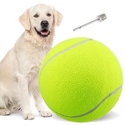 Frisco Fetch Squeaking Colorful Tennis Ball Dog Toy, 3-Pack