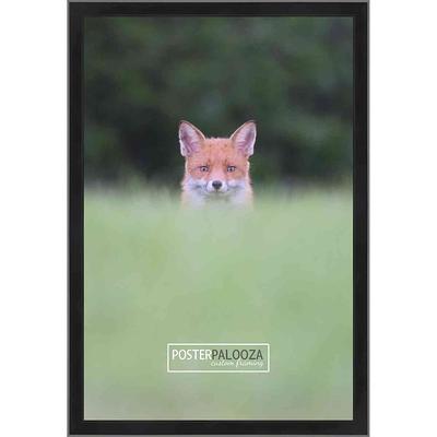 4x10 - 4 x 10 Flat Black Solid Wood Frame with UV Framer's Acrylic & Foam Board Backing - Great for