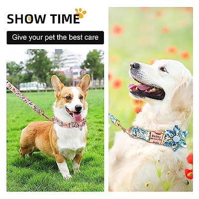 Beirui cute girl Dog collars for Small Medium Large Dogs, Multiple Floral  Patterns Female Pet Dog collars with Flower fo