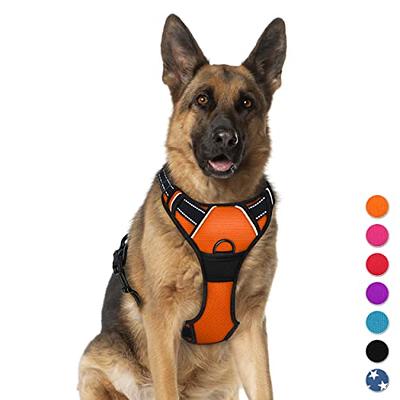 Cabela's Firehose Dog Training Dummy - Orange - Large - Yahoo Shopping