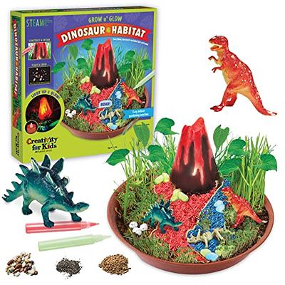  Creativity for Kids Grow 'N Glow Terrarium Kit for Kids -  Educational Science Kits Ages 6-8+, Kids Gifts for Boys and Girls, Craft  and STEM Projects : Everything Else