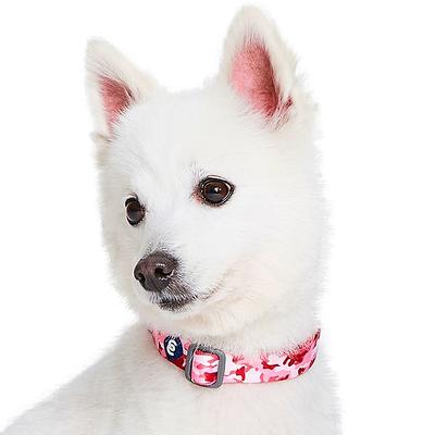 Blueberry Pet Floral Lace Dog Collar, Pink, Medium