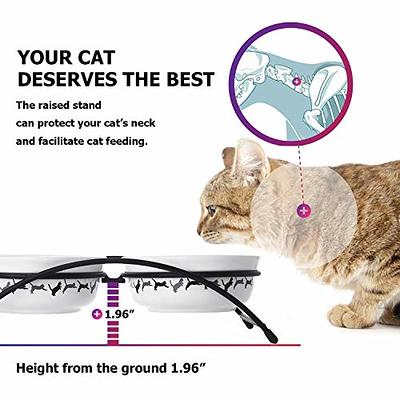 CEEFU Extra Wide Elevated Cat Bowls - Ceramic Cat Food Bowl 6.2 Raised Cat  Food Bowls Elevated Shallow Cat Food Dish, Whisker Fatigue, Lead & Cadmium