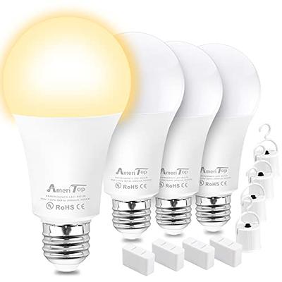 New LED Bulb Stays On In Power Outages