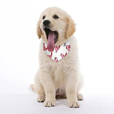 Cardinal Dog Bandana 