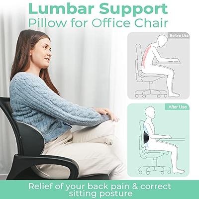 Elviros Lumbar Support Pillow, Adjustable Back Support Pillow for