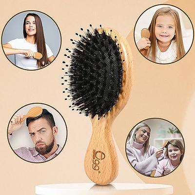 2Pcs Hair Brush Mini Boar Bristle Hairbrush for Thick Curly Thin Long Short  Wet or Dry Hair Detangle Massage Add Shine, Pocket Travel Small Paddle